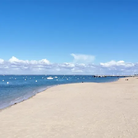 Studio Cosy A Arcachon: Terrasse, Parking, Proche Plage Et Commerces - Fr-1-420-146 Arcachon