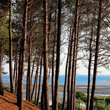Studio Cosy A Arcachon: Terrasse, Parking, Proche Plage Et Commerces - Fr-1-420-146 Appartamento